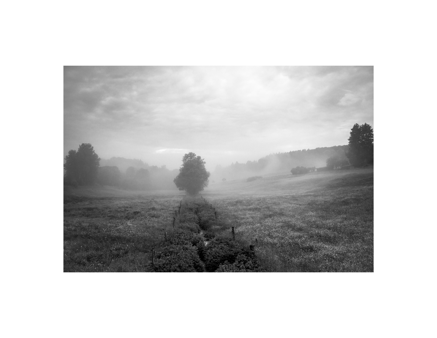 a foggy valley 2
