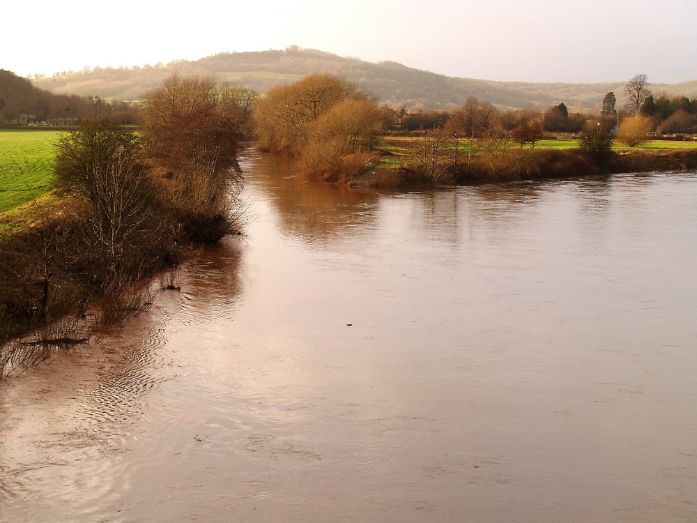 A fork in the River