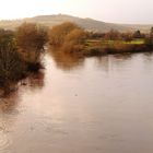 A fork in the River