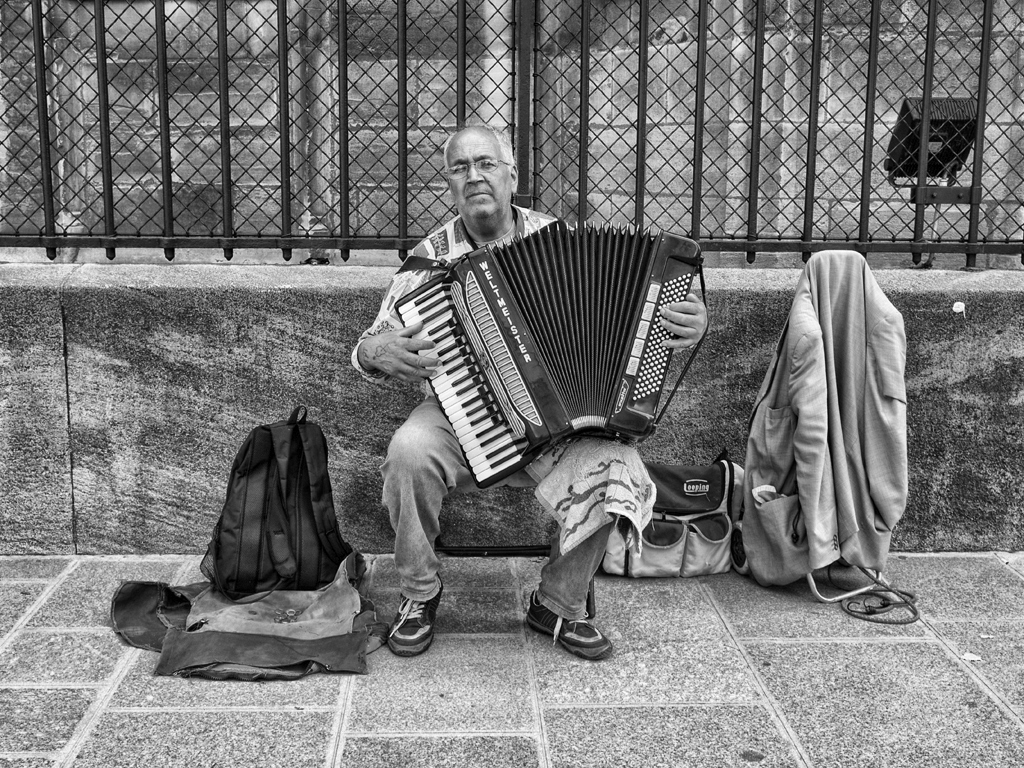 A French Accordion Player