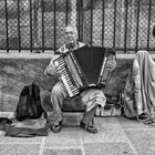 A French Accordion Player