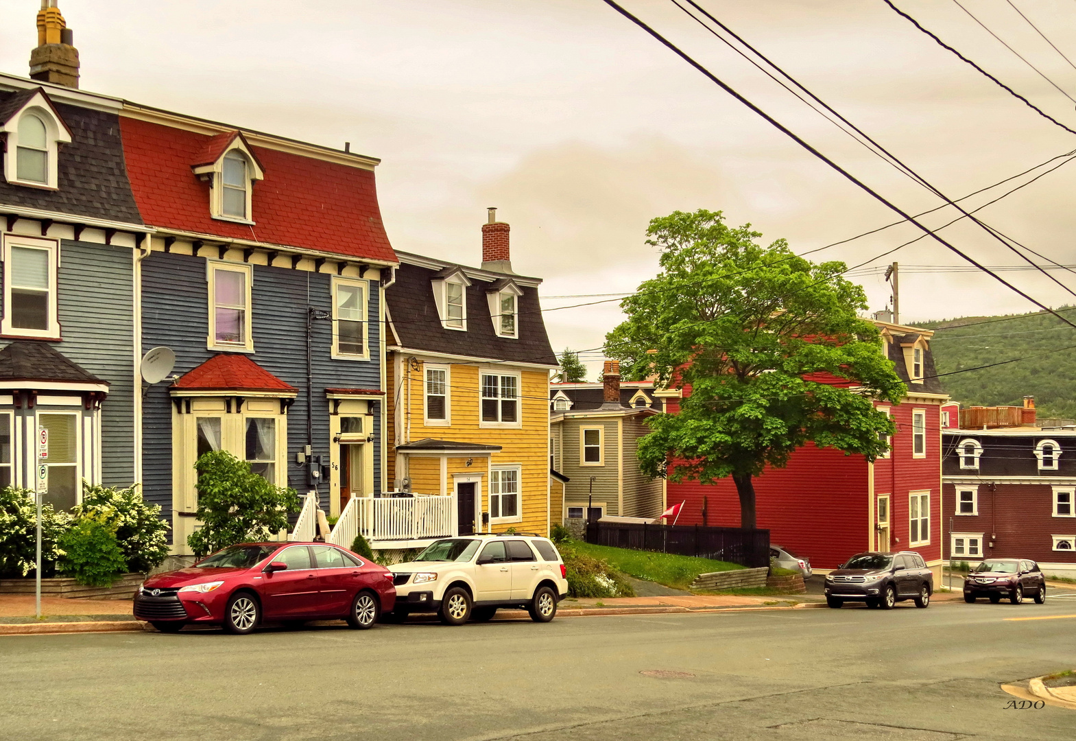 A Friendly Neighbourhood in St. John's