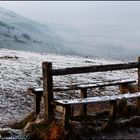 A frosty scene