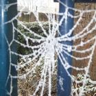 a frosty spiderweb