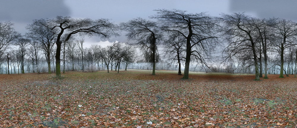 A frosty walk in the park_Equirectangular