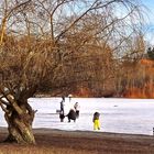 A Frozen Trout Lake
