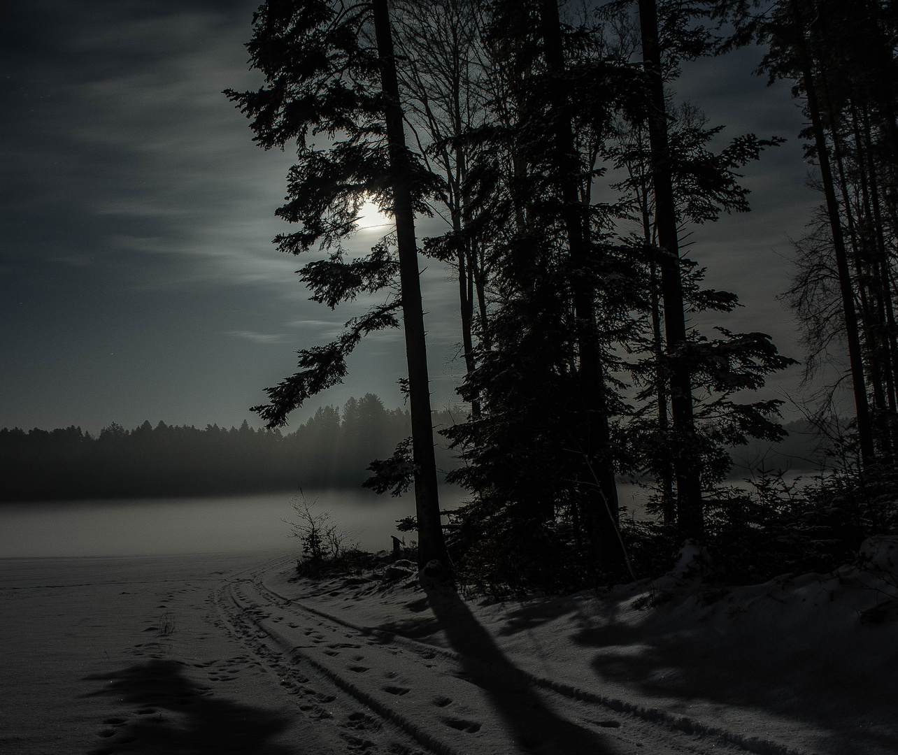 A frozen winter night
