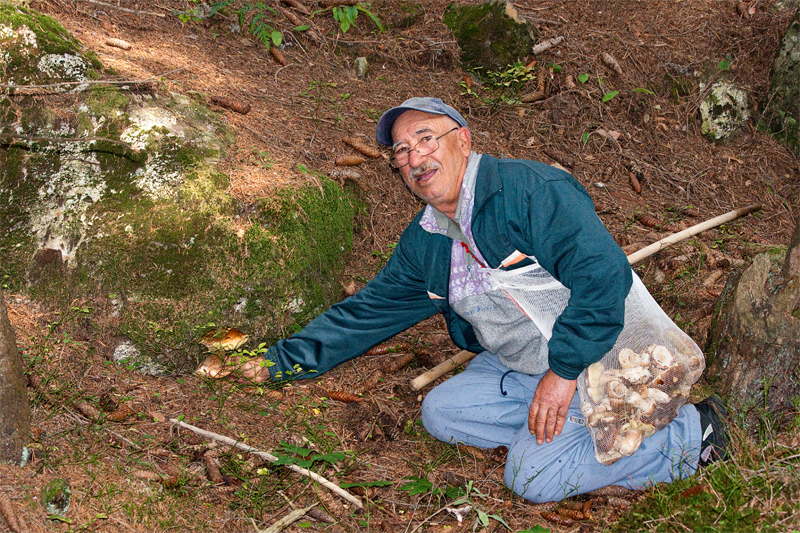 A funghi...porcini...