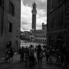 a glance at the Piazza del Campo