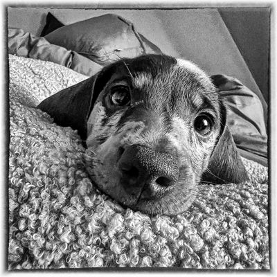 A Glance That Melts Your Heart