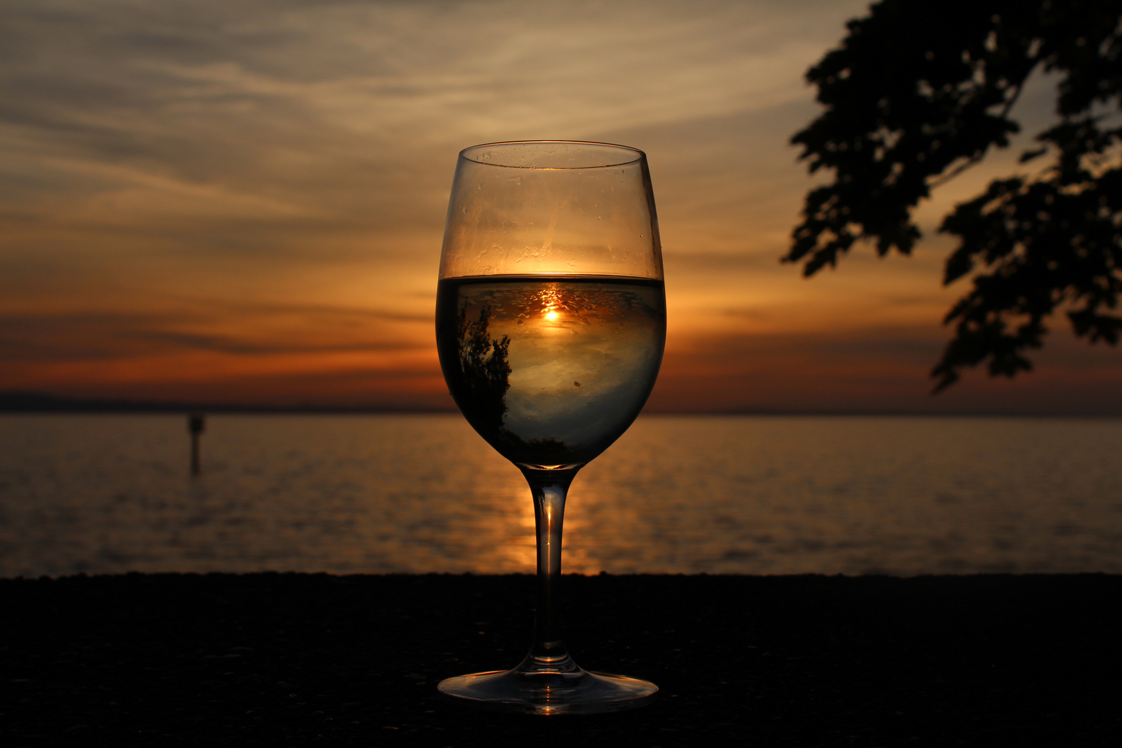 A Glass of sunset