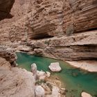 [ … a glimpse into Wadi Shab ]