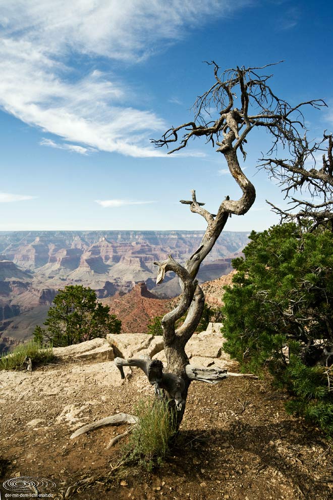 A glimpse on Grand Canyon II