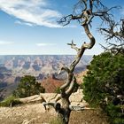 A glimpse on Grand Canyon II