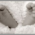 A great life with small feet...