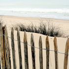 A grey day on the beach