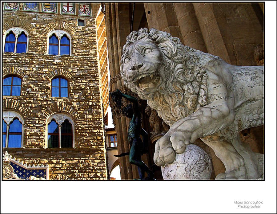 A guardia dei Medici