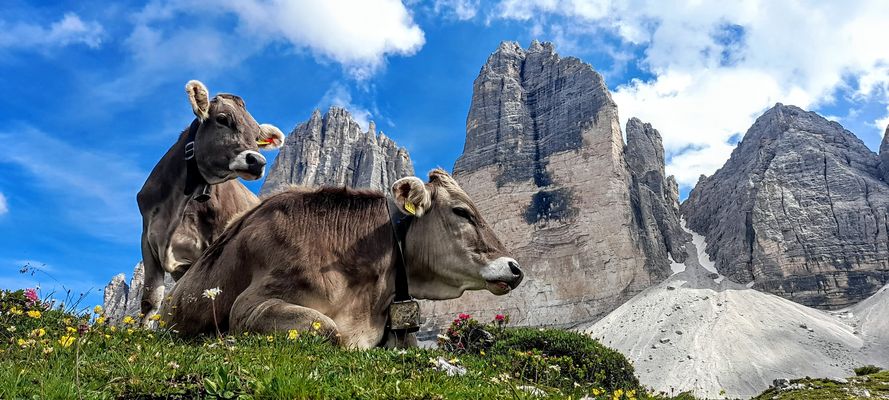 A guardia delle tre cime