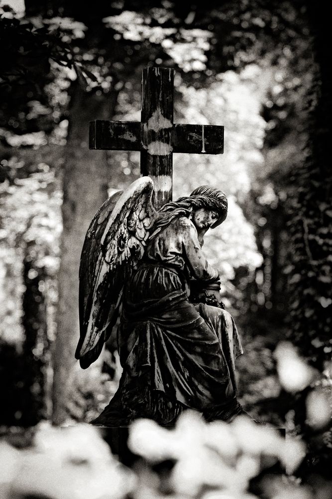 a guardian angel is what we all need from time to time....