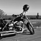 a Harley Davidson at Black Forest County