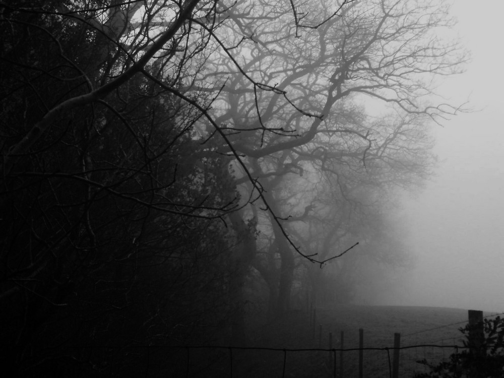A Haunting Mist