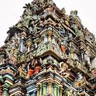 A Hindu Temple - Details