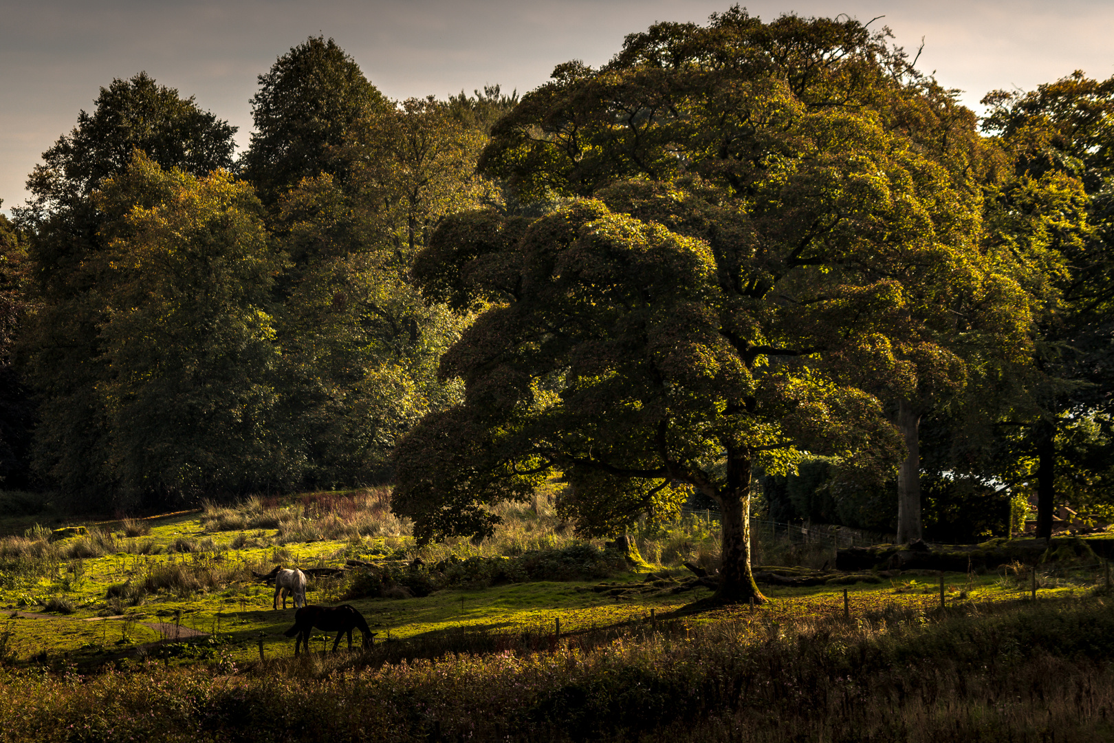 a hint of Autumn