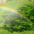 A home-made rainbow