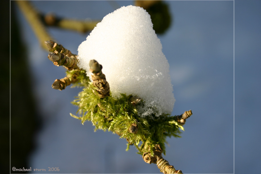 a hood completely from snow