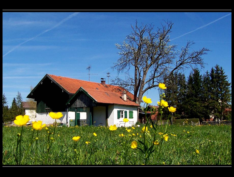 a house, in the middle of a field