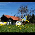 a house, in the middle of a field