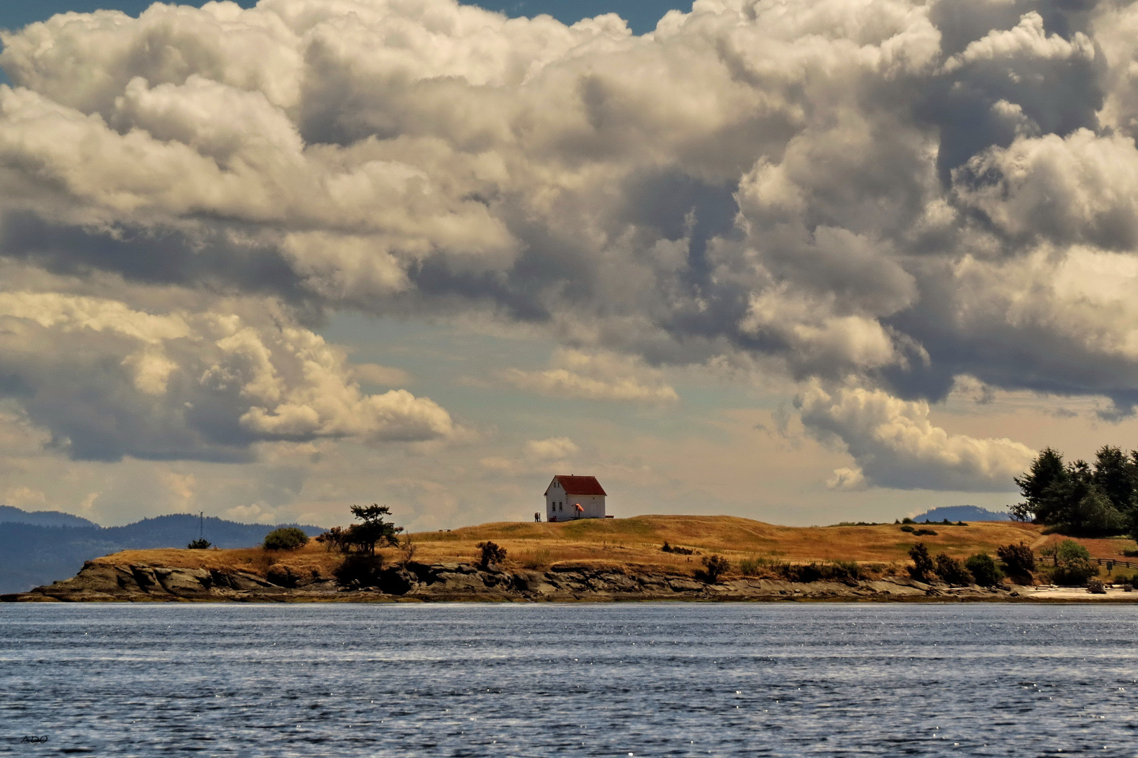 A House in the Middle of Nowhere 