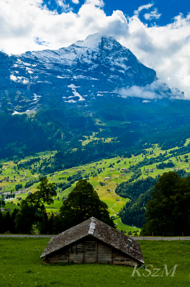 A house with a view