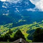 A house with a view