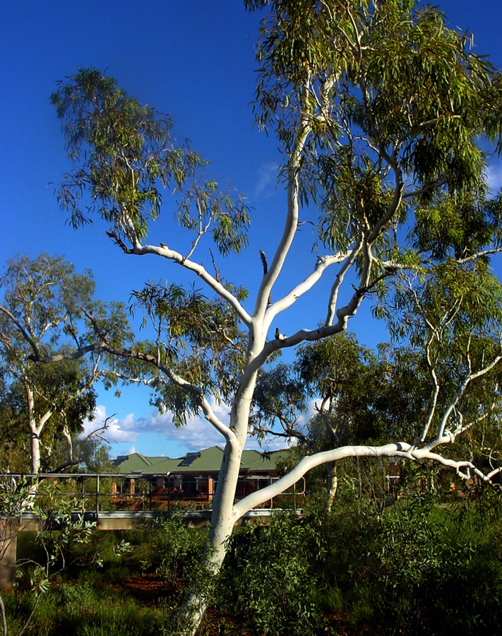 A Huge Hello My Friends, From Perth, The Capital City Of West Australia!! Story Within.