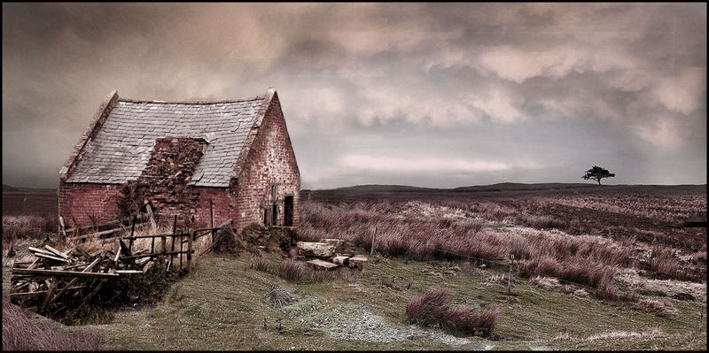 a hut for all seasons