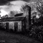 a Irish house and the recurring nature