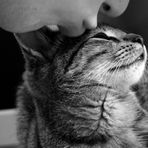 a kiss...