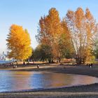 A Kitsilano Beach Afternoon