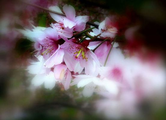 A L L E S . G U T E . E U C H  