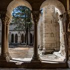 A l 'ombre du cloître .