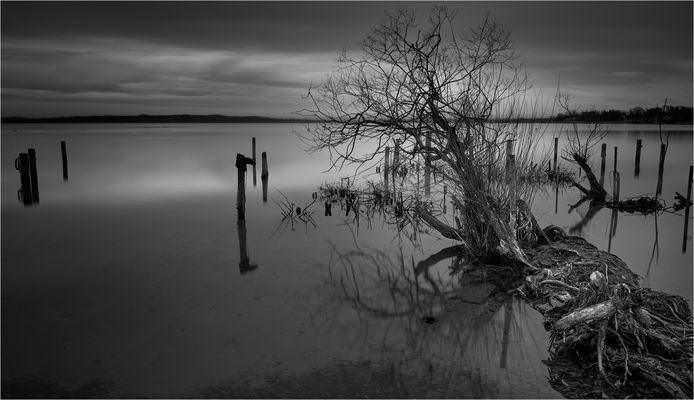 A L T E R N A T I V E S . . .