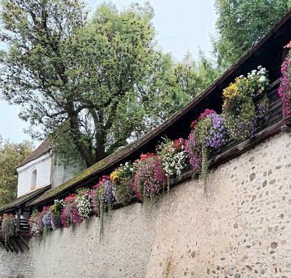 " A L T E " STADTMAUER . . .