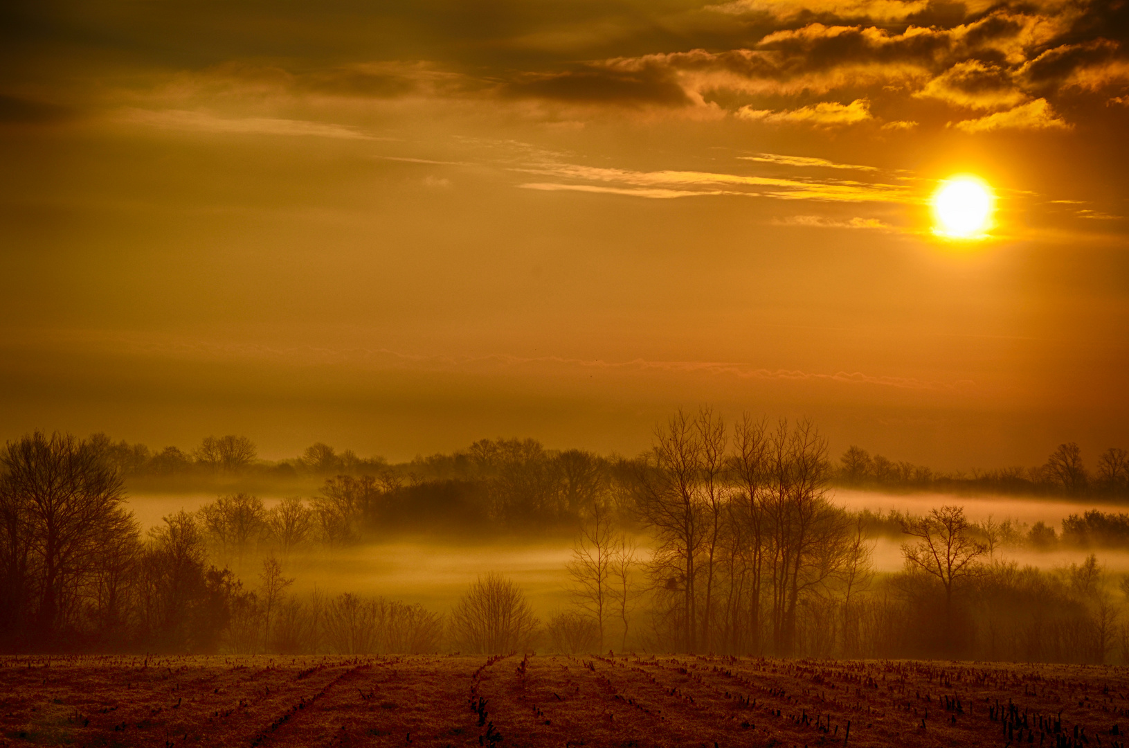 A la brume naissante..!