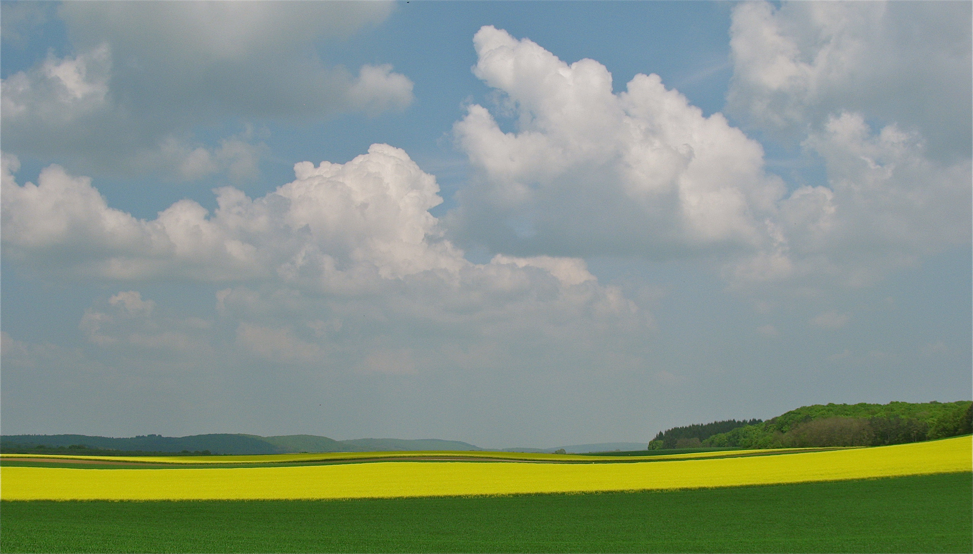 ...à la Campagne 2 !!!...