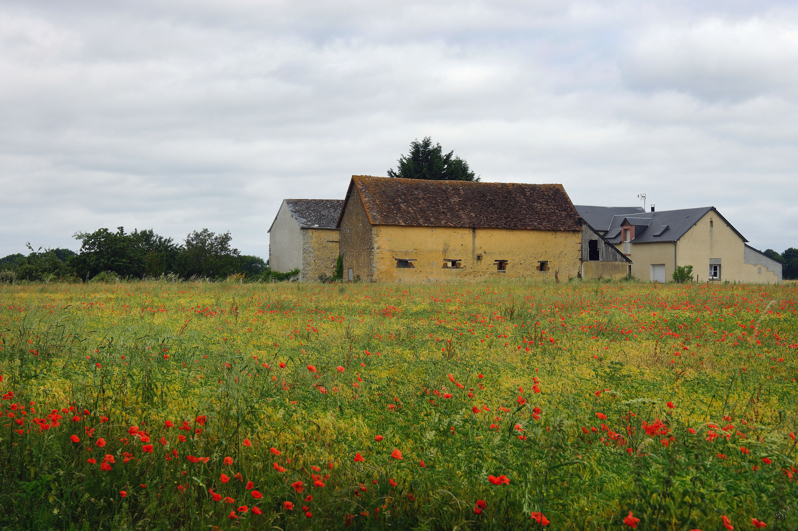 A la campagne.....