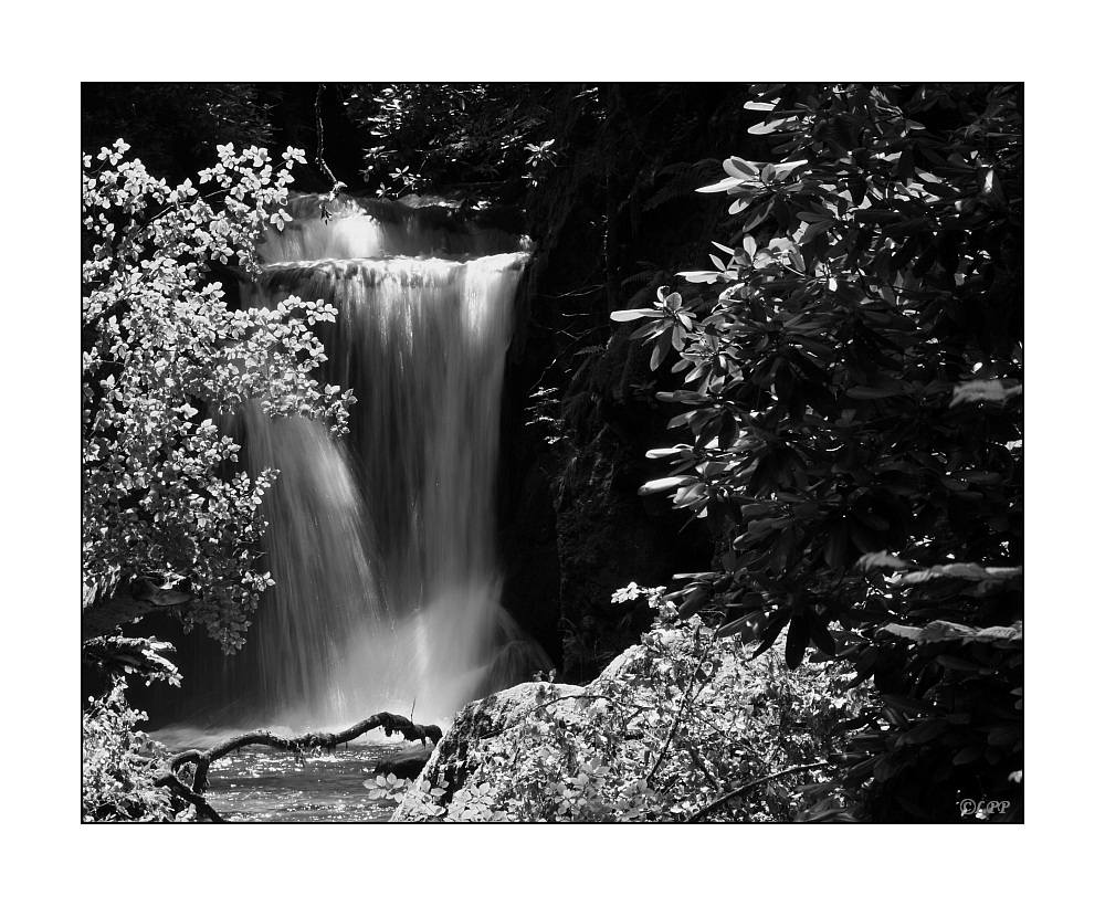 à la cascade de l'argent