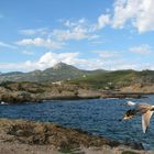 a LA CITADELLE DE CALVI