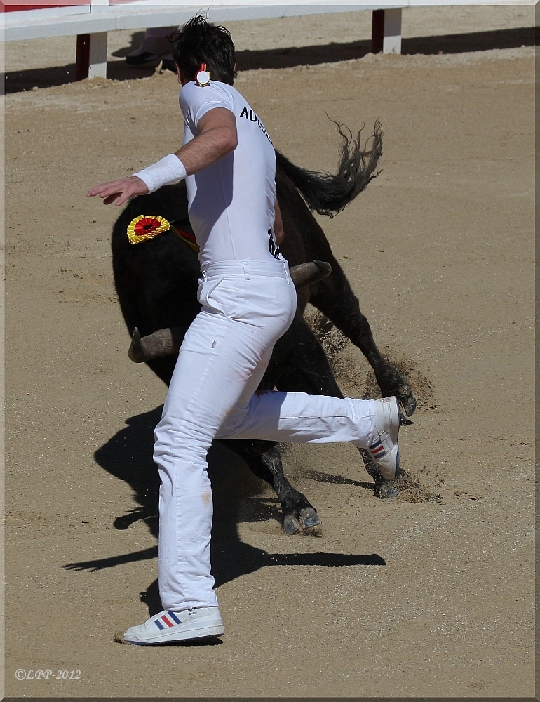 ... à la course camarguaise (II) ...