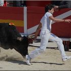 ... à la course camarguaise (III) ...